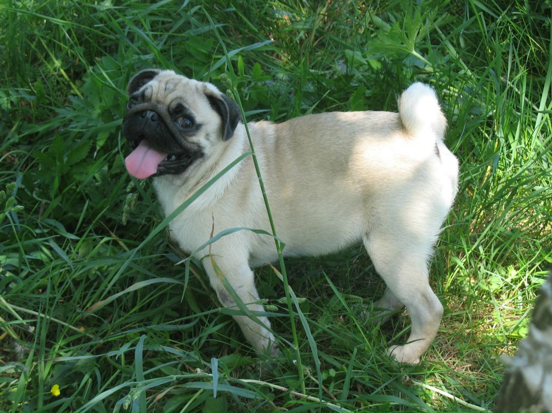 Богдан Капралёв Александрович | Мелитополь