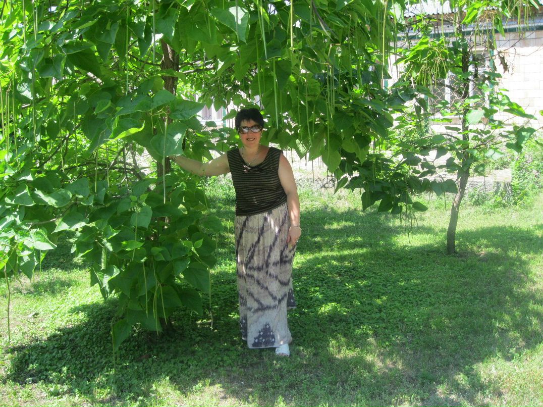 Тамила Шахова | Северодонецк