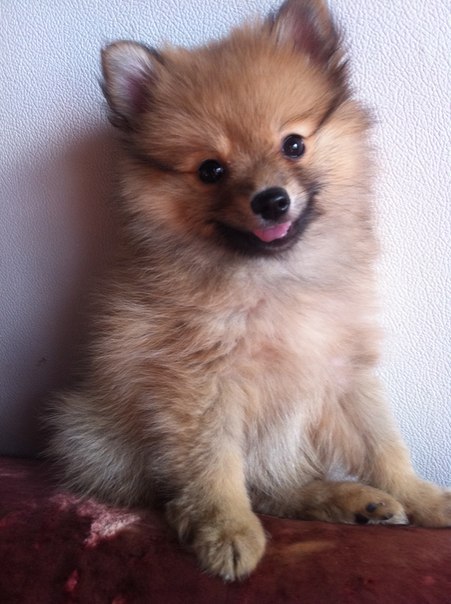 Екатерина Чехова | Череповец