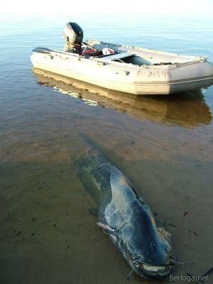 Анастасия Волкова | Москва