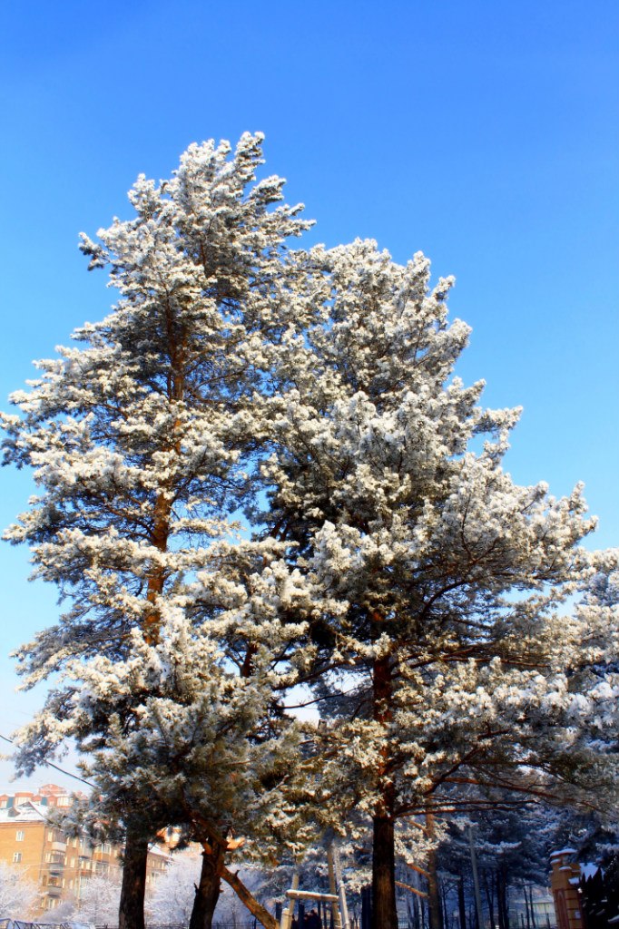 Дима Игнатов | Красноярск