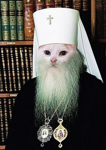 Kristina Serebryakova | Калининград