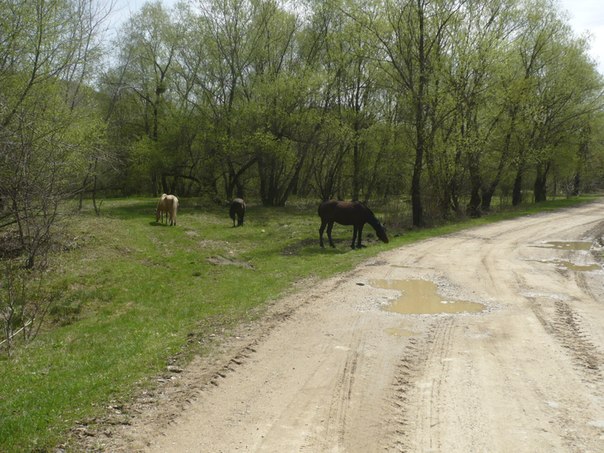 №13, Сергей Жильцов, 36 лет, Тимирязева №13, Сергей Жильцов, 36 лет, Тимирязева