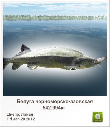 Александр Махницкий | Петрозаводск