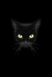 Диана Вертинская DI | Санкт-Петербург