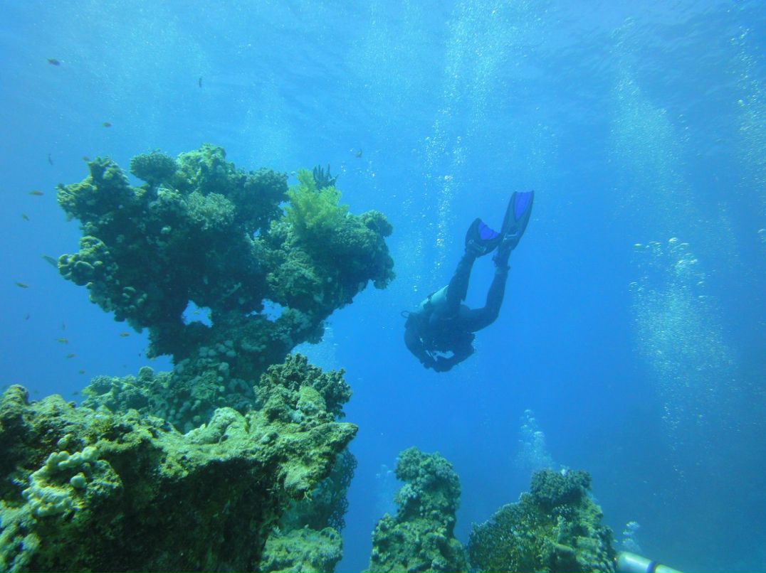 Вячеслав Маркушин | Волгоград