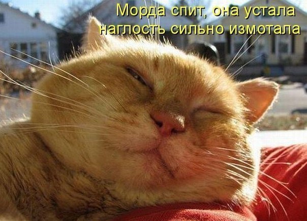 Алексей Гончаров | Ростов-на-Дону