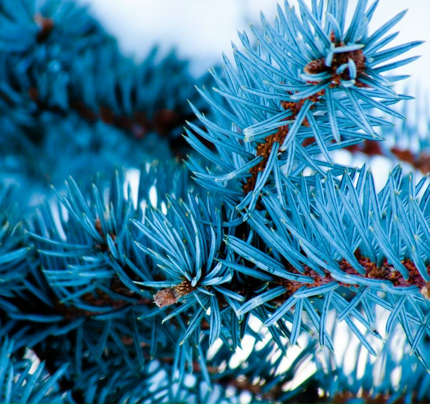 Андрей Яременко | 