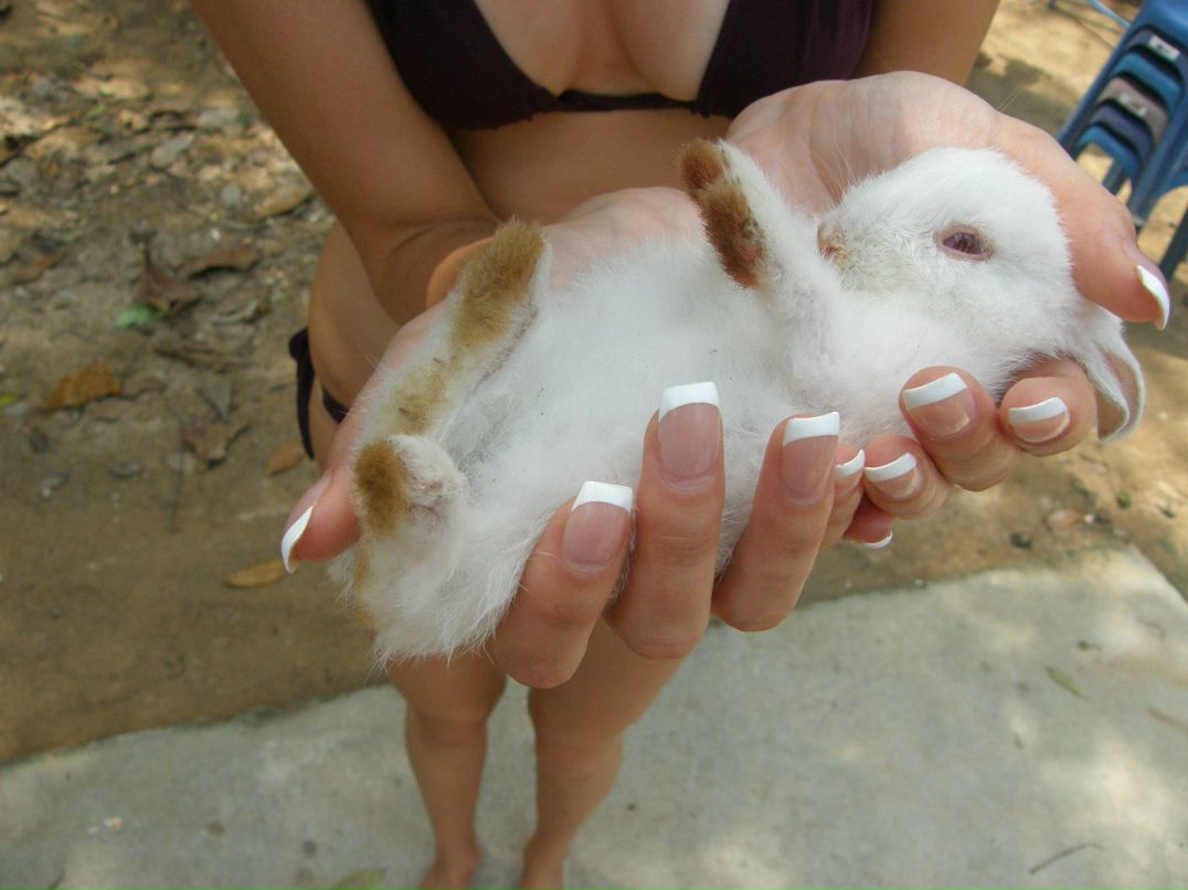 Алина Лапшина | Москва