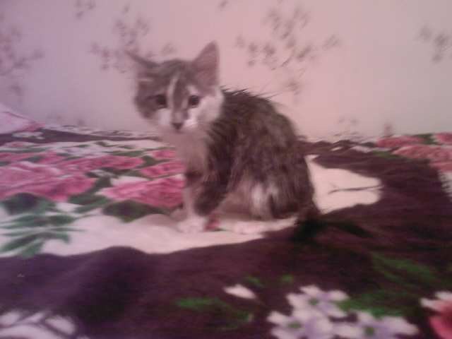 Катюшка Жевагина | 