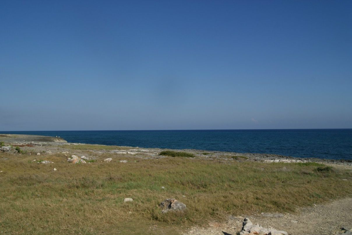 Денис Куртуков | Новосибирск