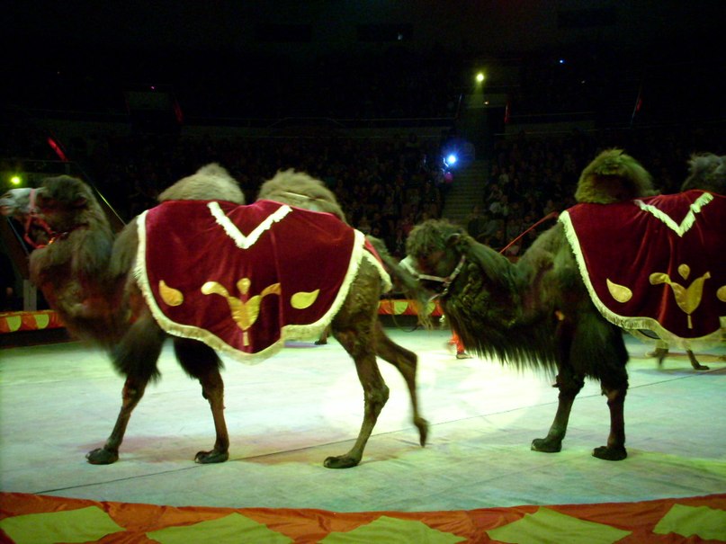 Юлия Белокуренко | Екатеринбург