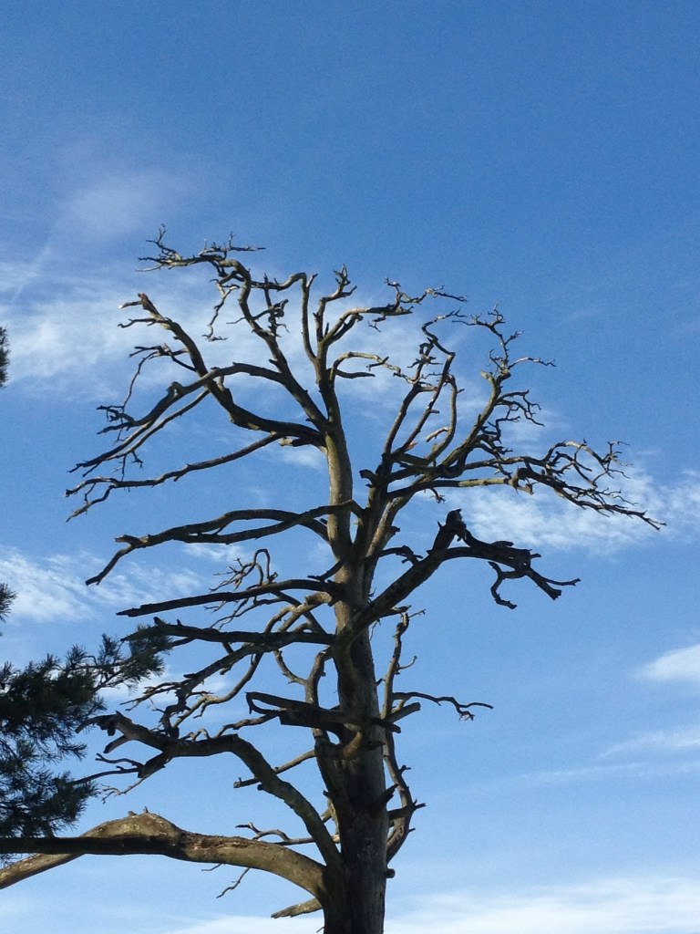 Anastasia Ponomareva | Stockholm