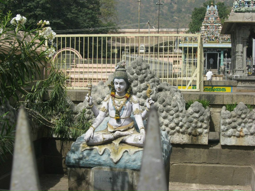 Елена Смирнова | Санкт-Петербург