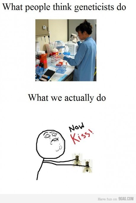 Doh Doh Doh | Чернигов