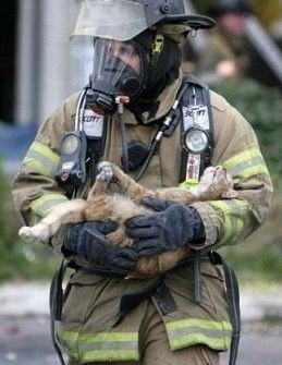 Леонид Диденко | Ульяновск