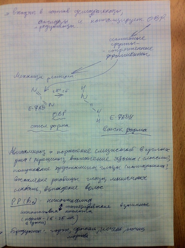 Эльтаир Дженкинс | Санкт-Петербург