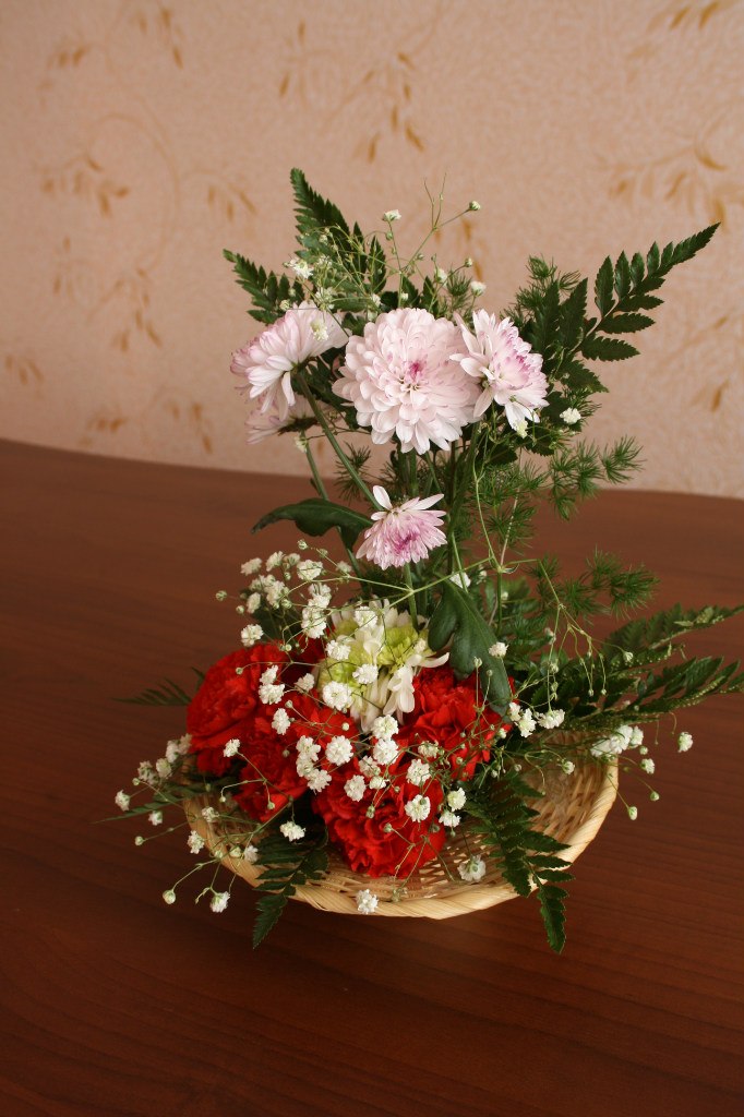 Светлана Панова | Вологда