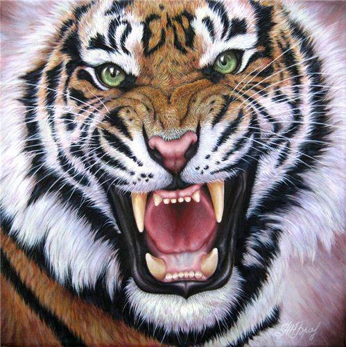 Евгений Лазько | Запорожье