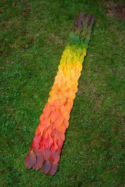 Кира Массон | Томск