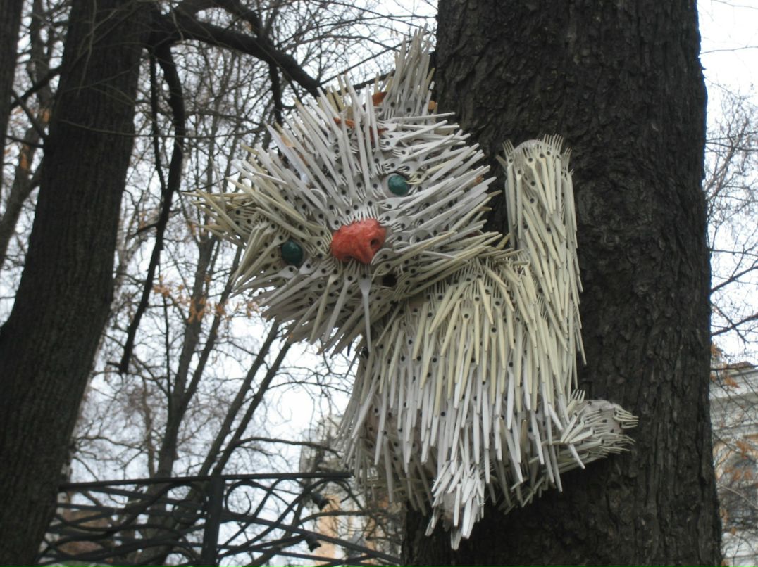 Наталья Ставицкая | Сочи