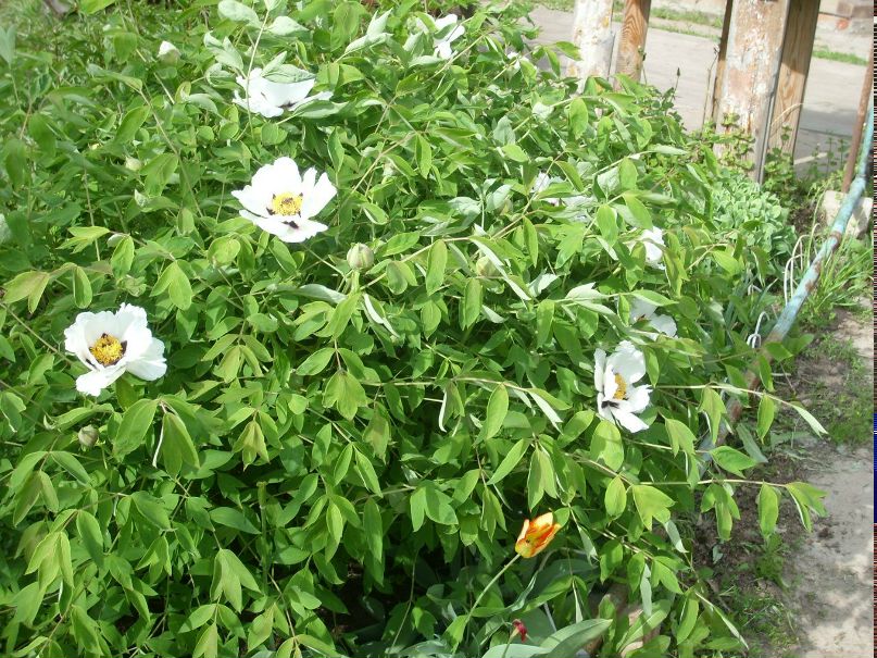 Татьяна Дорофеева | Волгоград