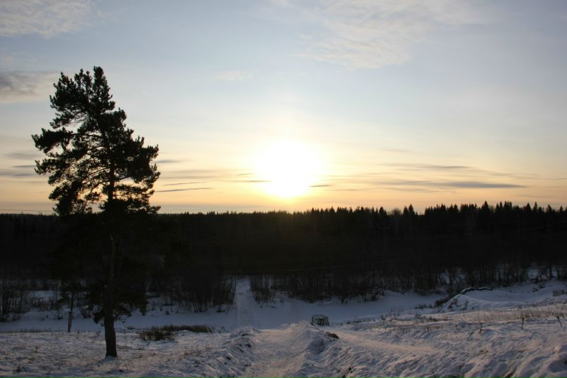 Мария Савич | Москва