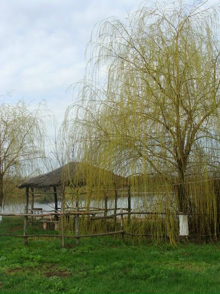 №89, Аленка Тарасова, 31 год, Мариуполь №89, Аленка Тарасова, 31 год, Мариуполь