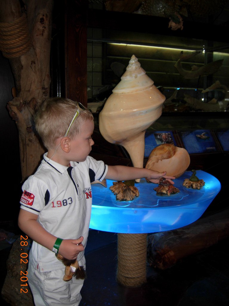 Юлия Абрамова | Красноярск