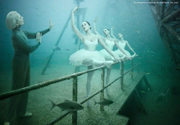 Ирина Мерклингер | Одесса