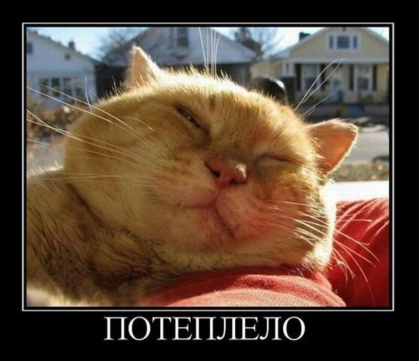 Гриша Кравцов 