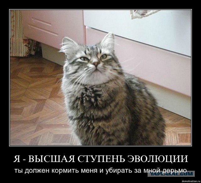 Олег Золотухин | Иркутский