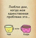 Фотография Муфферт Анны