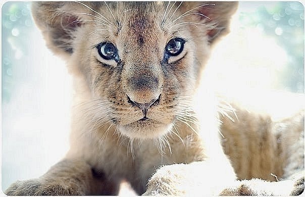 Алина Юсупова Har Inder Kaur | 