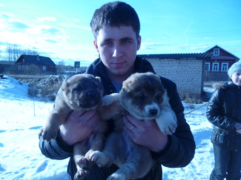 Дмитрий Кузьмин | Боровичи