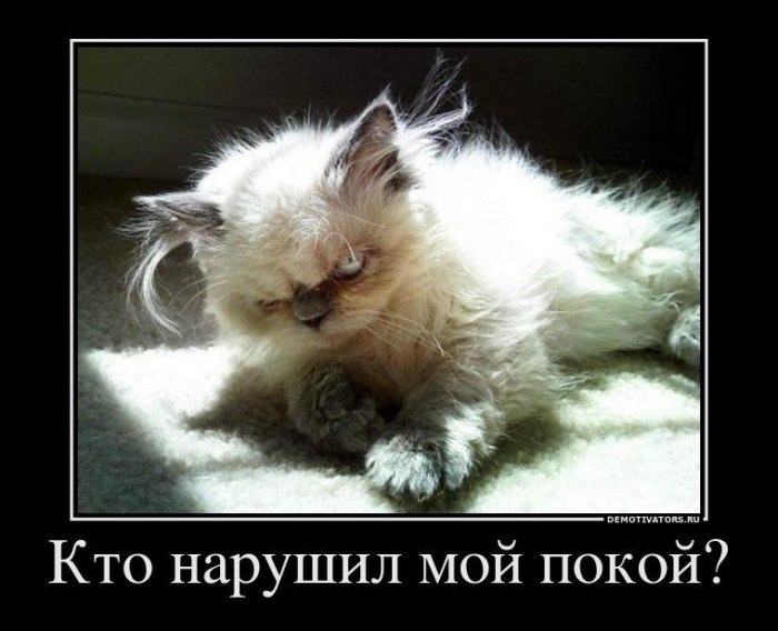 Илья Омелик | Красноярск