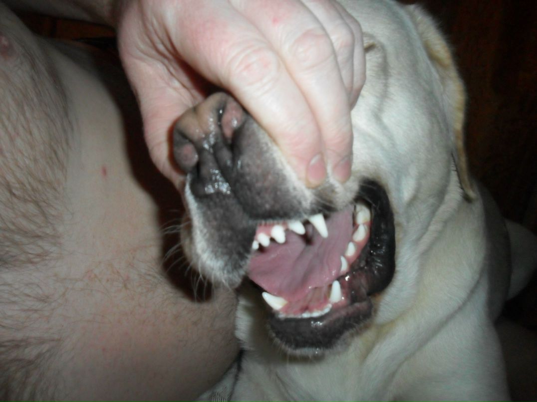 Оксана Клевцова николаевна | 