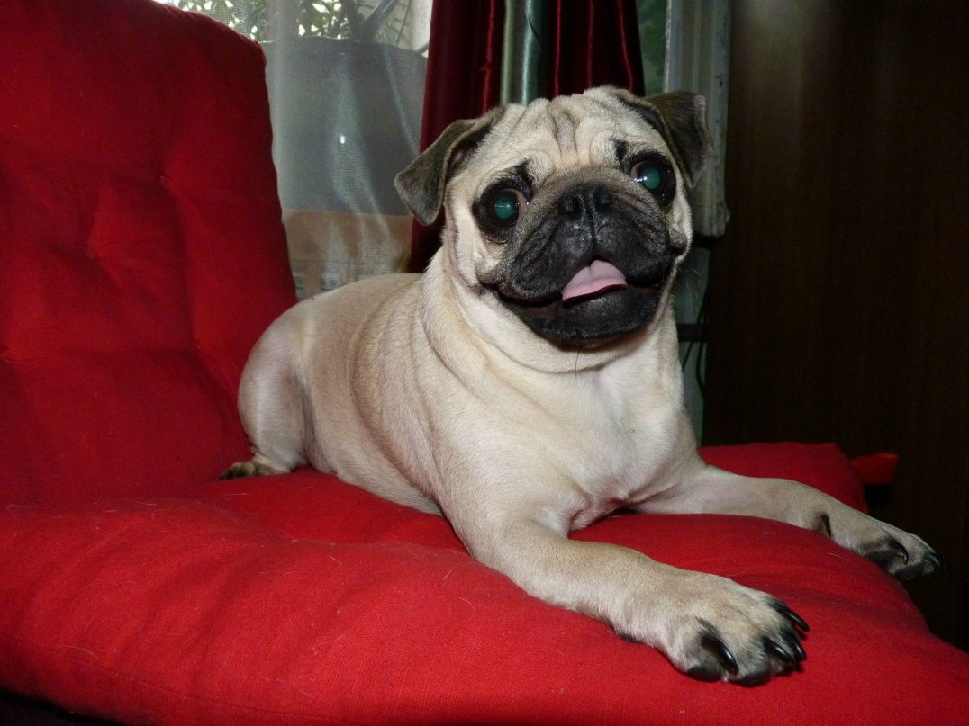 Игорь Малинин | Санкт-Петербург