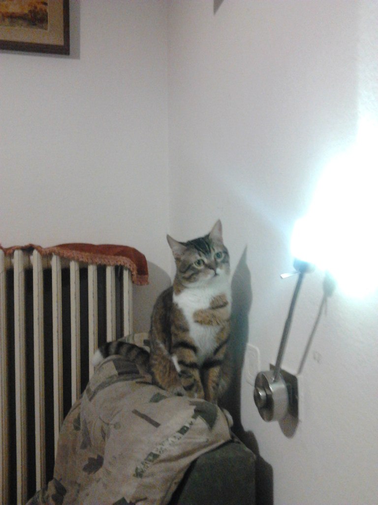 Андрій Краєвський Тадейович | Carpi