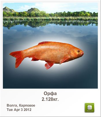 Алексей Сыромятников | Колпино