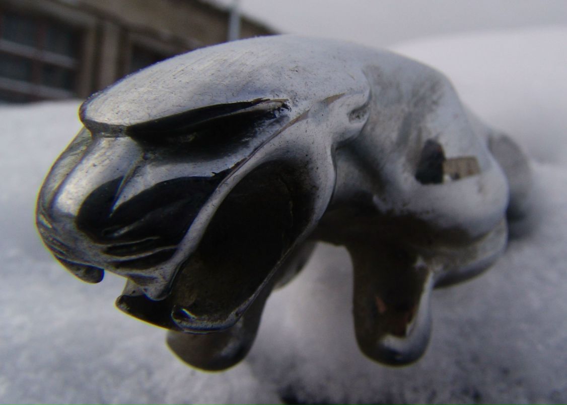 Андрей Зоткин | Петрозаводск