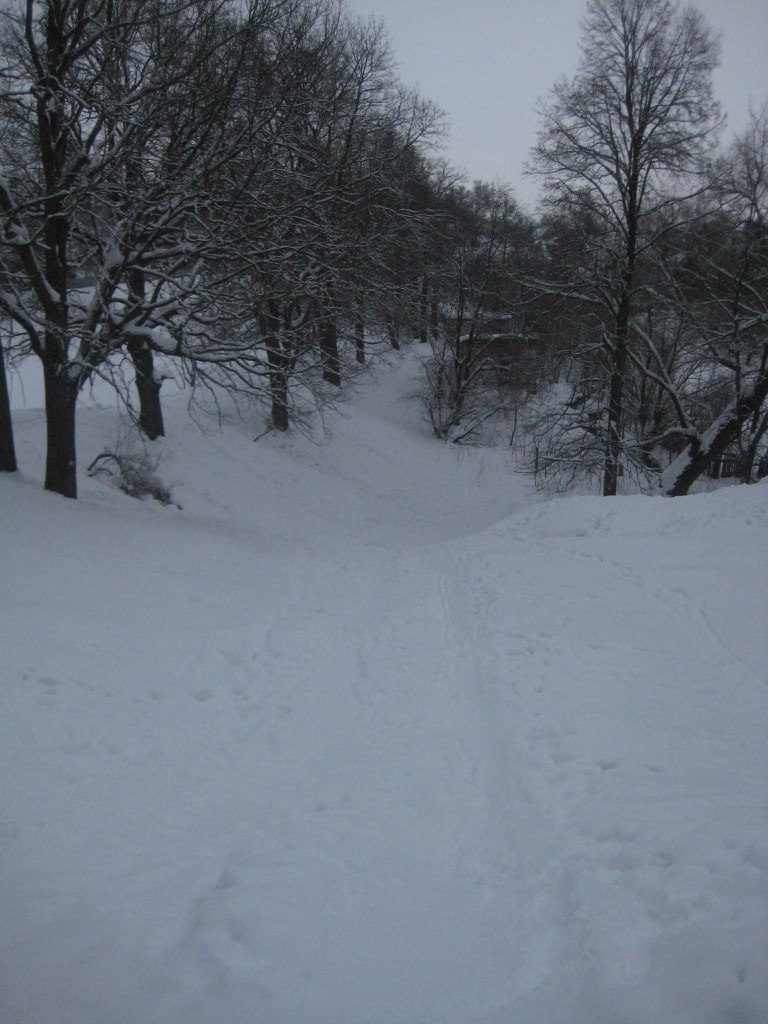 Галина Коломиец | Тула