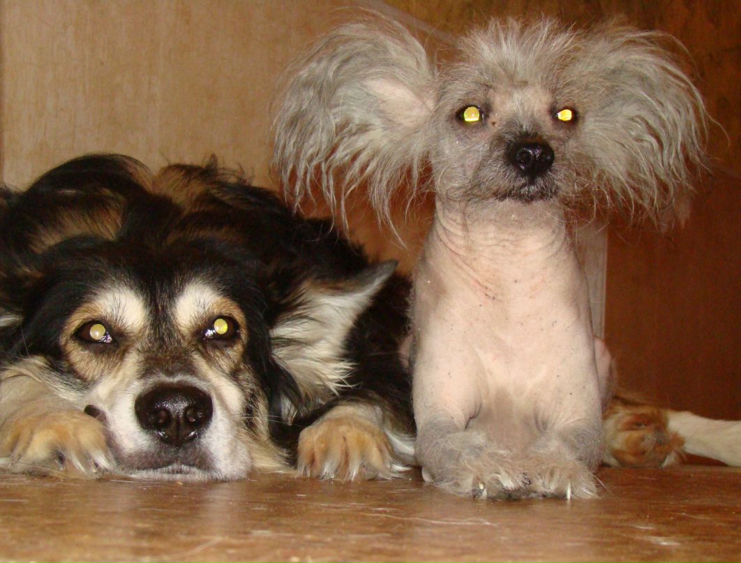 Наталья Прежина NIK@ | Ульяновск