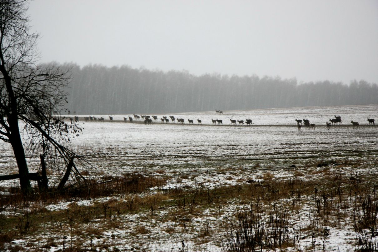 Наталья Макейченко | Москва