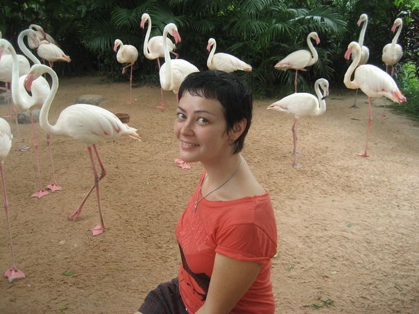 №167, Марина Сунцова, 20.12 №167, Марина Сунцова, 20.12