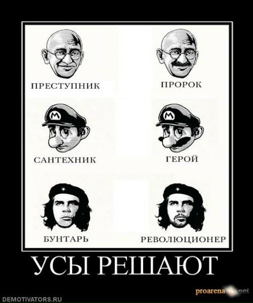 №5, Илья Петровский, Брест №5, Илья Петровский, Брест