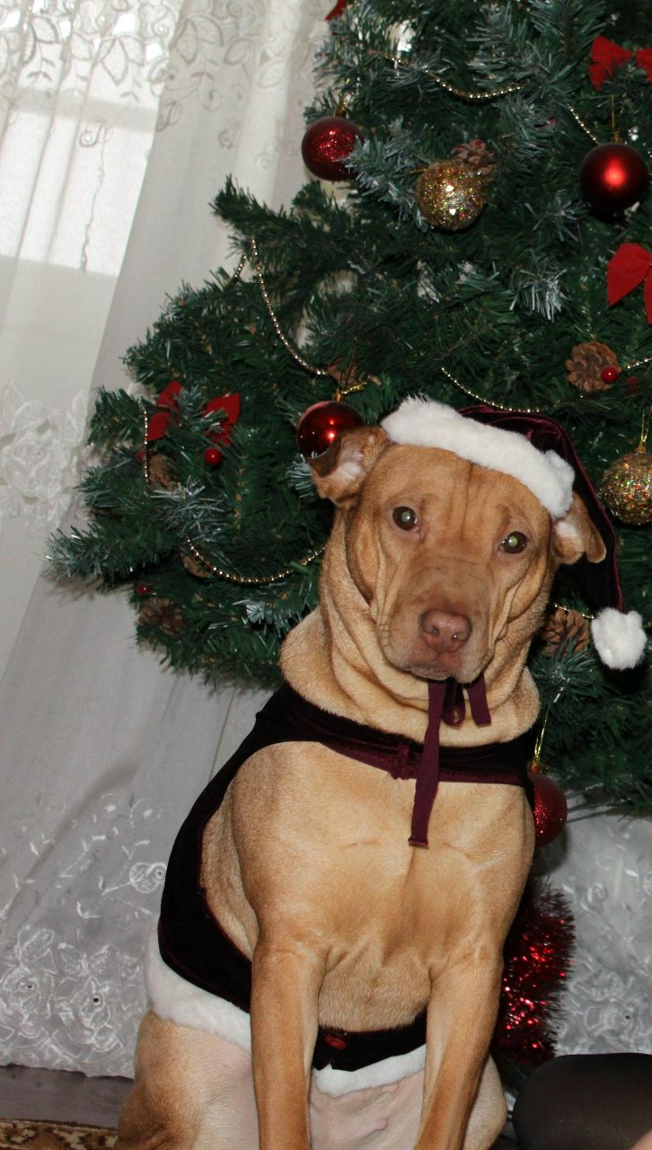 Нина Сёмкина ~3вЁ3до4к@~ | Кременчуг