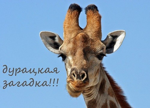 Анна Курман | Washington, D.C.