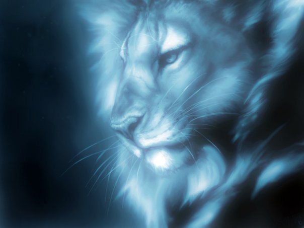 Дима Лобага | Киев