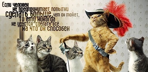 Жизнь Прекрасна